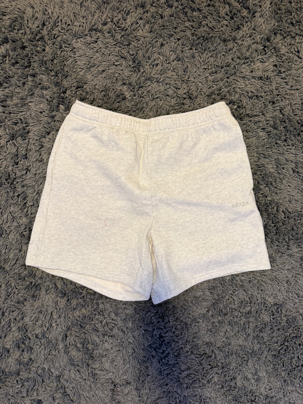 ARITZIA mega sweatshorts